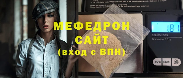 индика Алексин