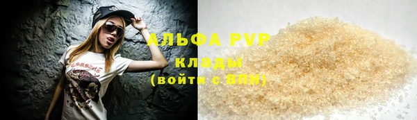 индика Алексин
