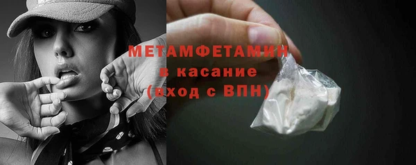 индика Алексин