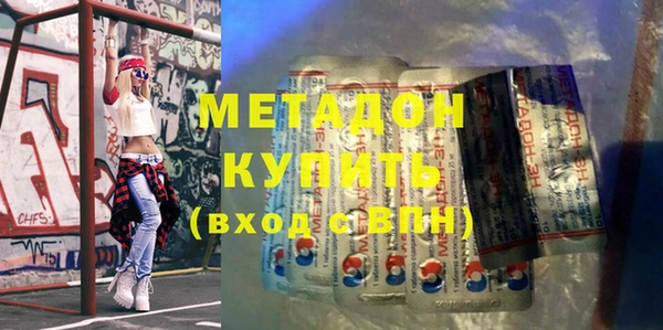 индика Алексин