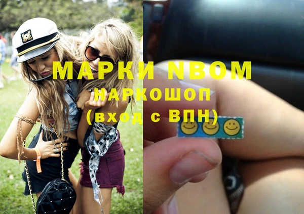 индика Алексин