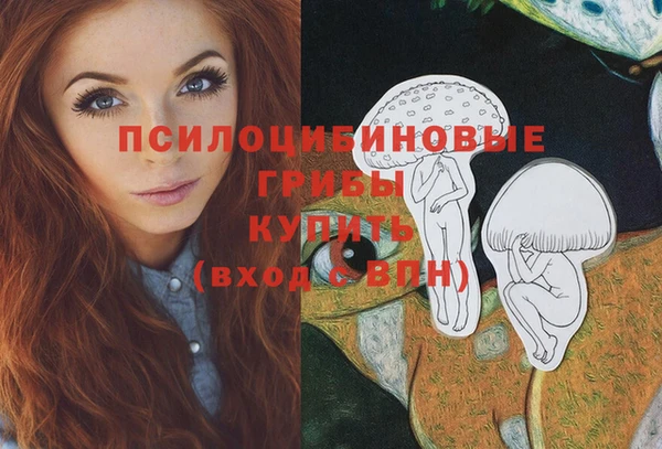 СК Алексеевка