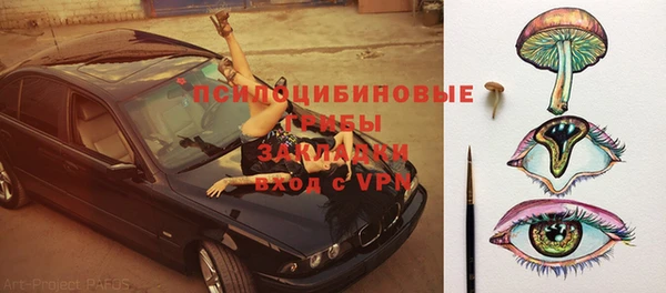 индика Алексин
