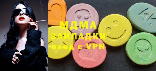 индика Алексин